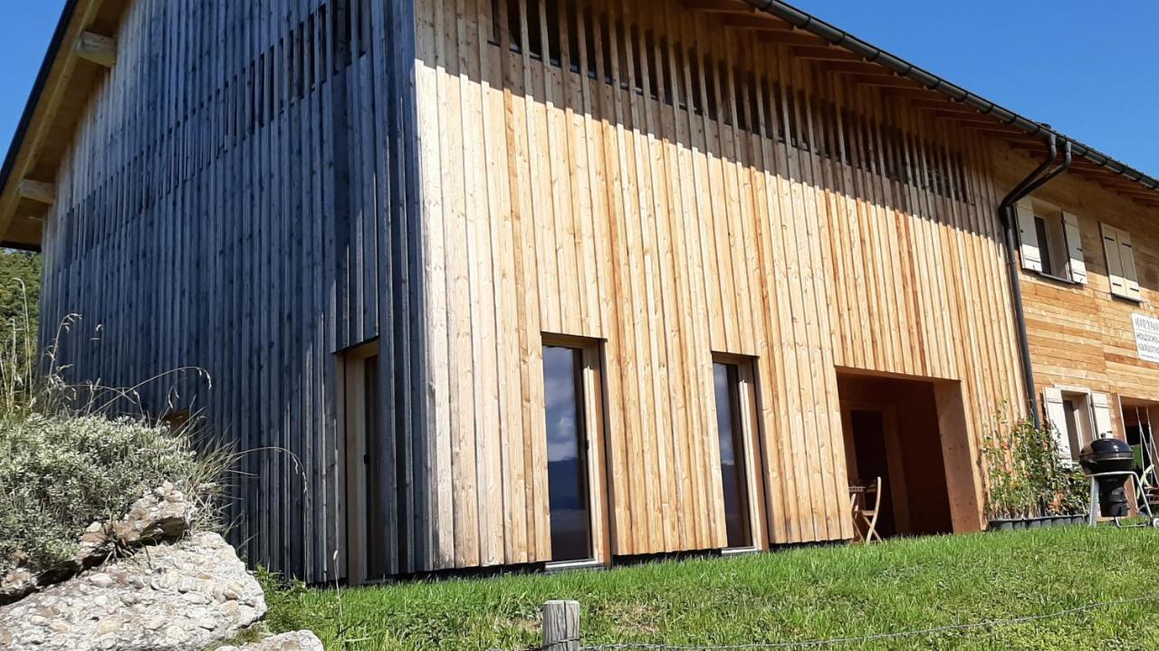 Ferienwohnung Schoenenbuehl Hittisau Eksteriør billede