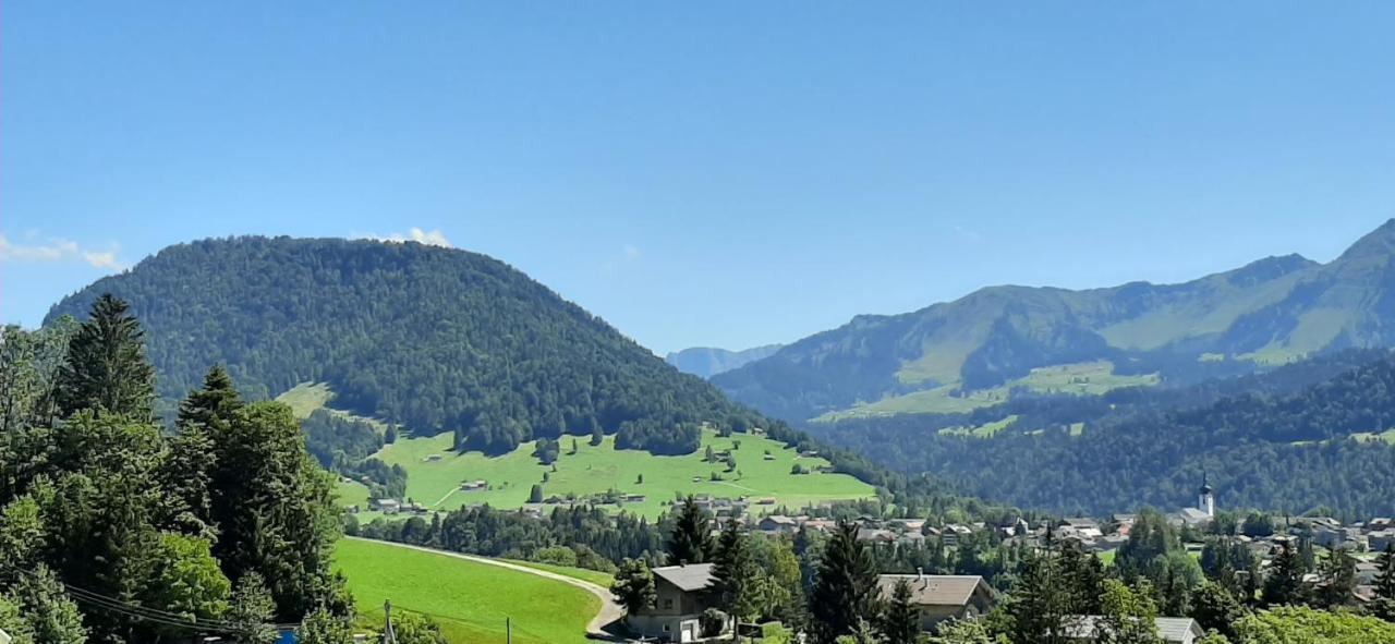 Ferienwohnung Schoenenbuehl Hittisau Eksteriør billede