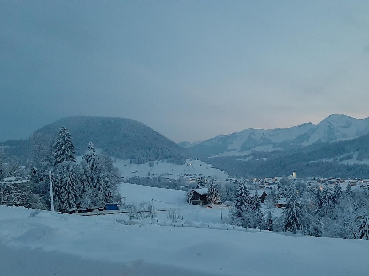 Ferienwohnung Schoenenbuehl Hittisau Eksteriør billede