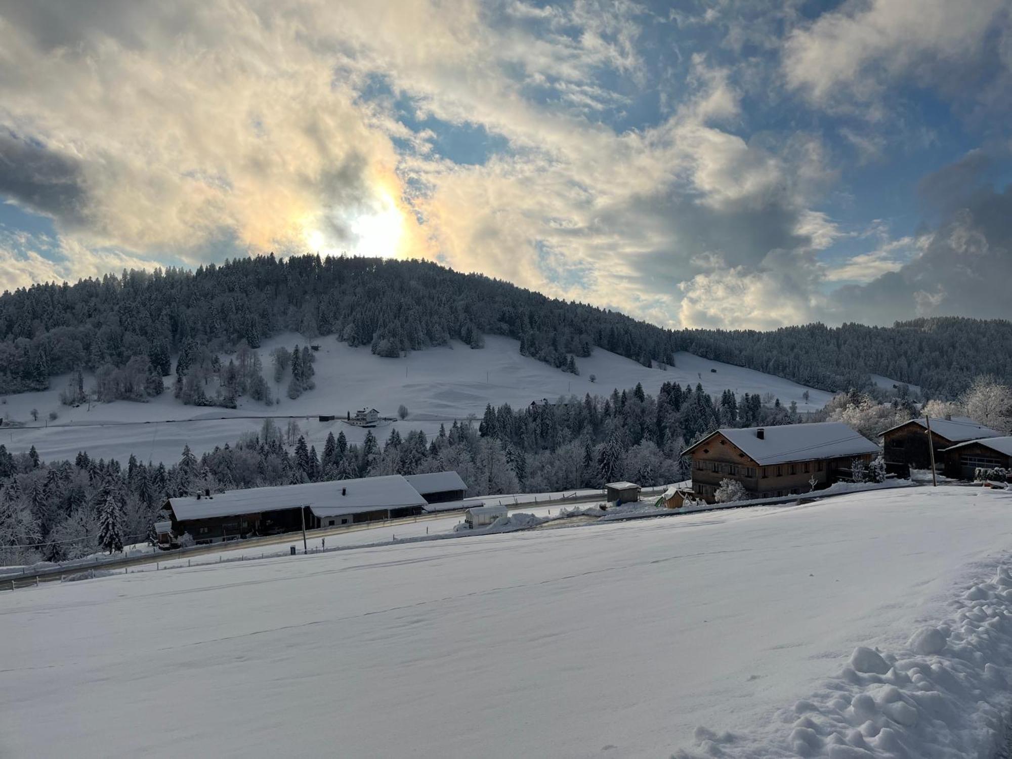 Ferienwohnung Schoenenbuehl Hittisau Eksteriør billede